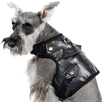 E-Commerce National Dog Day, Faux Leather Dog Harness Vest